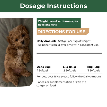 Mecredy: Antarctic Krill Oil for Heart & Mobility