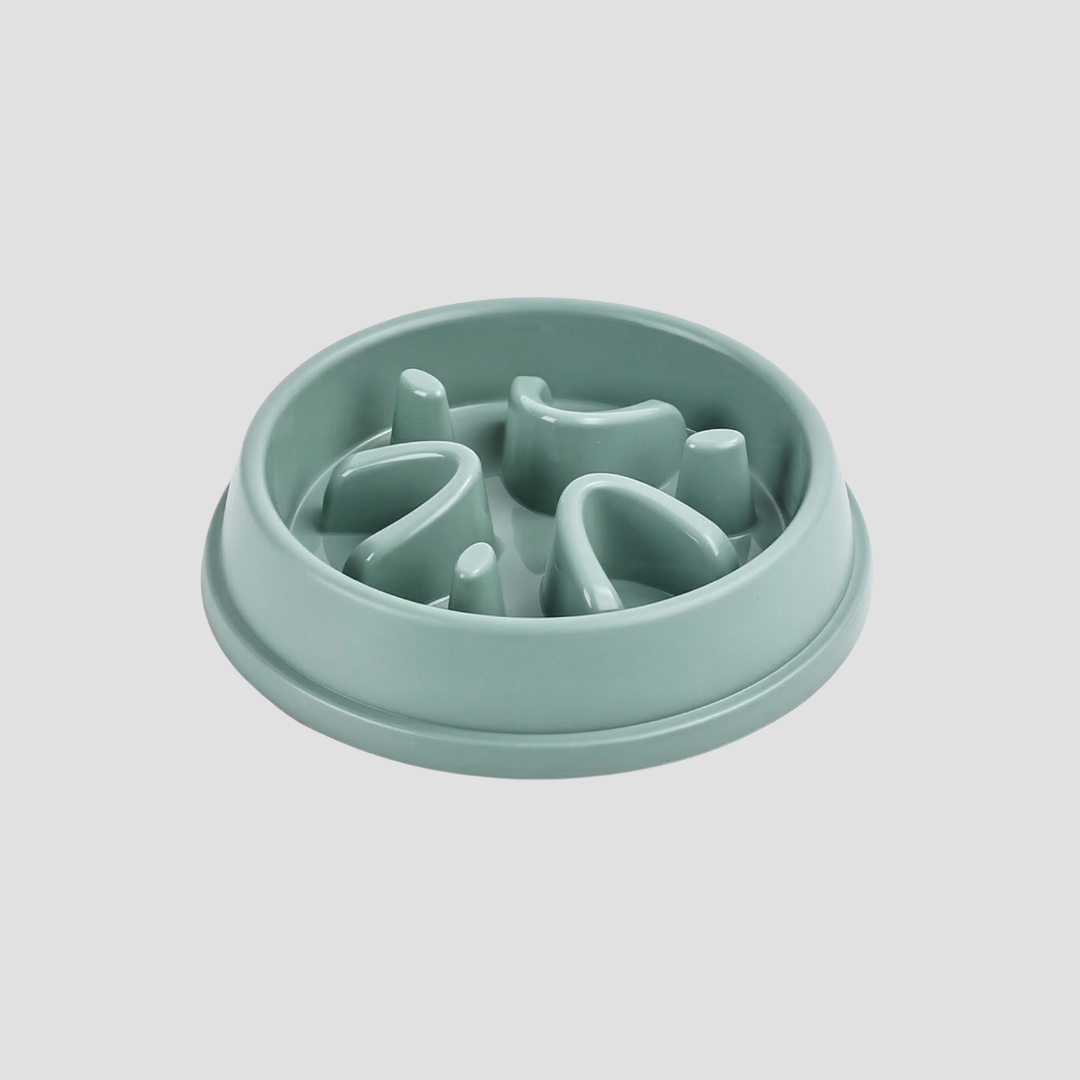 FlowFeeder Digestive Bowl