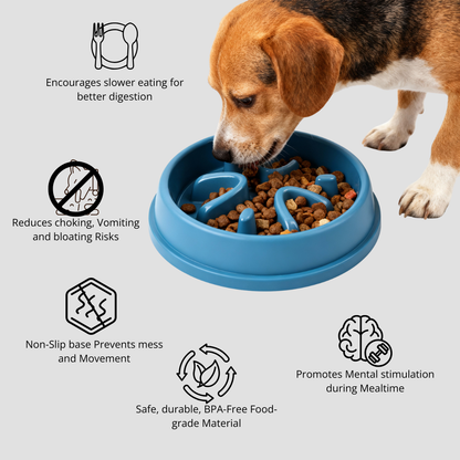 FlowFeeder Digestive Bowl