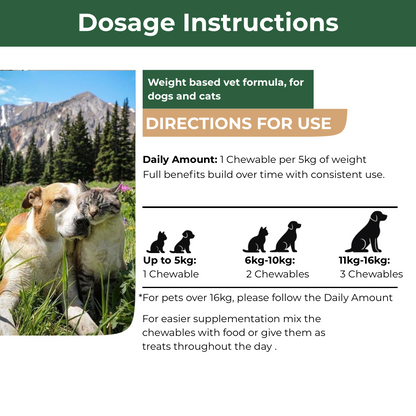 Mecredy: Hip & Joint Flex Mobility Support