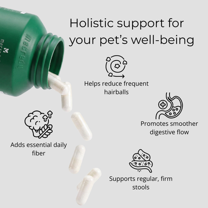 Mecredy: Hairball Control Fiber Solution