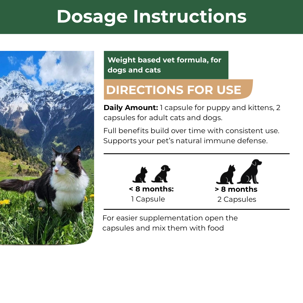 Mecredy: Lactoferrin+ Advanced Immune Support Guard
