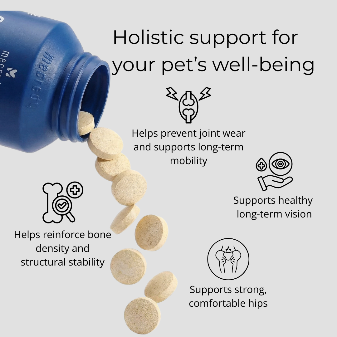 Mecredy: Hip & Joint Flex Mobility Support