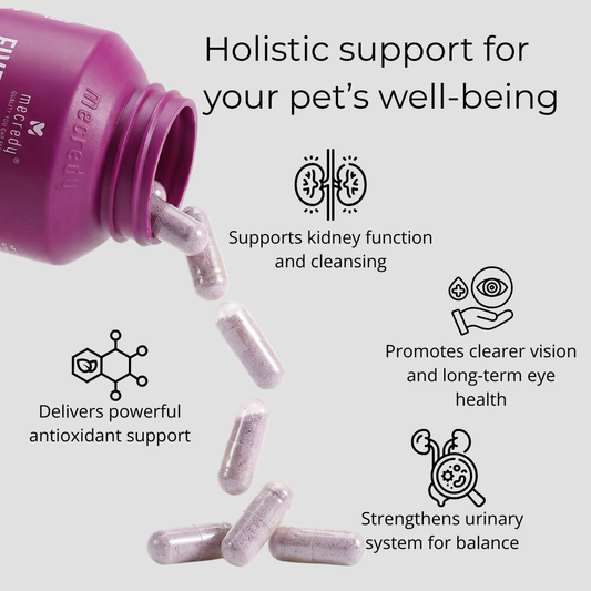 Mecredy: 5-Berry Boost Antioxidant Superfood Mix