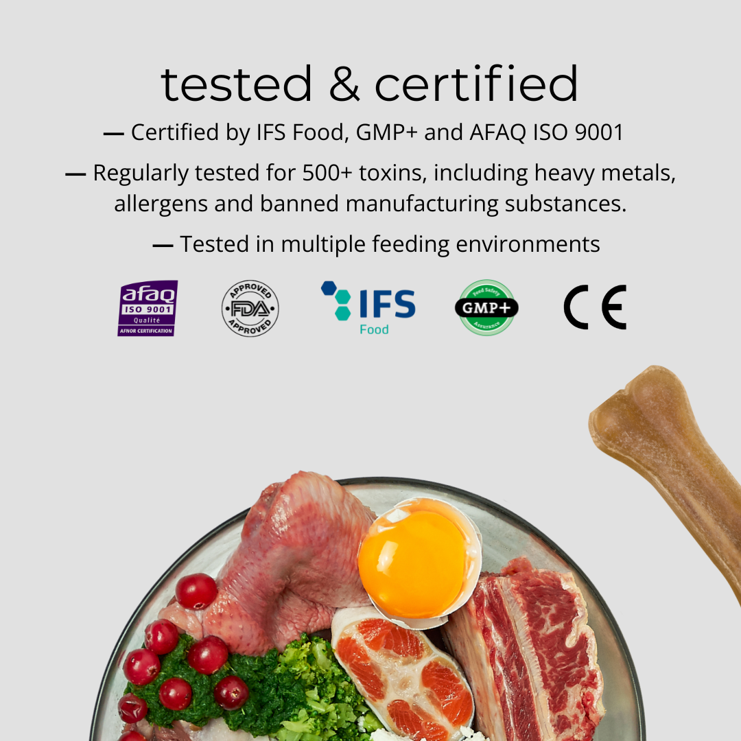 FlowFeeder Digestive Bowl