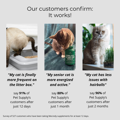 Mecredy: Hairball Control Fiber Solution