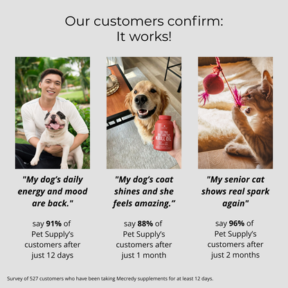 Mecredy: Antarctic Krill Oil for Heart & Mobility