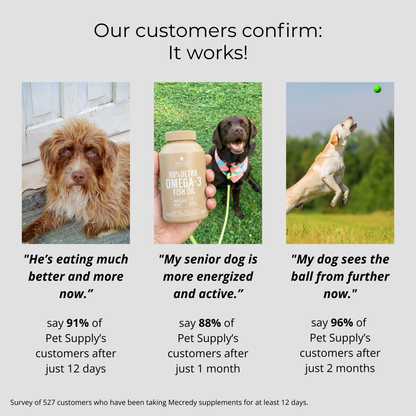 Mecredy: Omega-3 Vital Skin & Coat Support